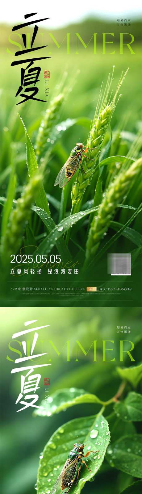 立夏节气海报_源文件下载_PSD格式_900X3894像素-海报,质感,蝉-作品编号:2025050409072246-志设-zs9.com