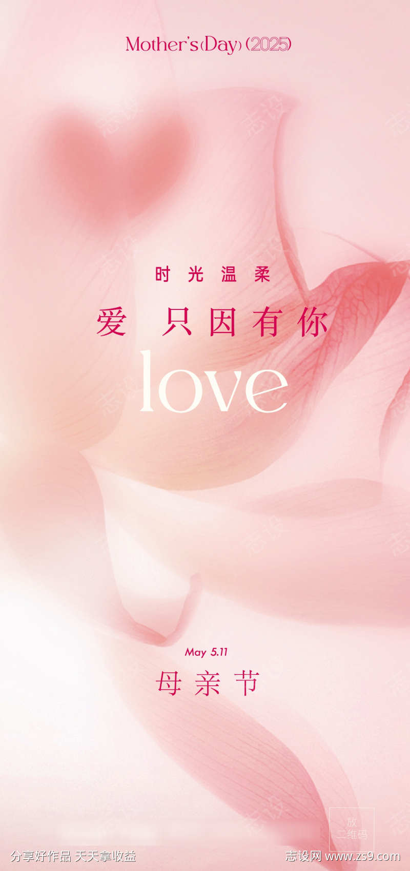 5月11母亲节康乃馨粉色花儿美丽美学美业