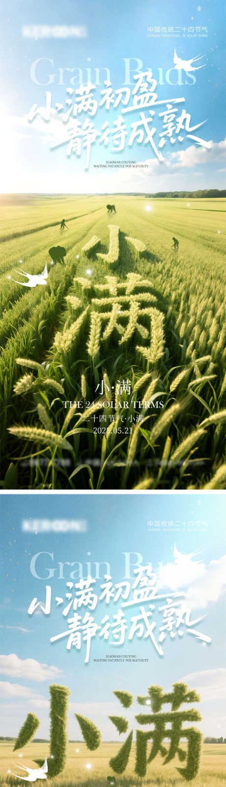 小满节气海报_源文件下载_PSD格式_1000X4348像素-地产,收割,谷物-作品编号:2025050614088393-志设-zs9.com