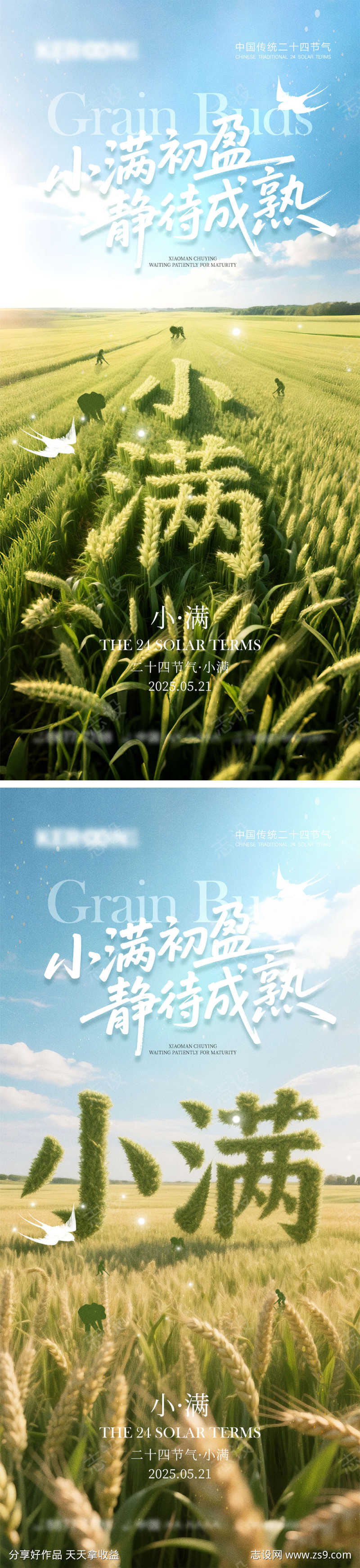 小满节气海报