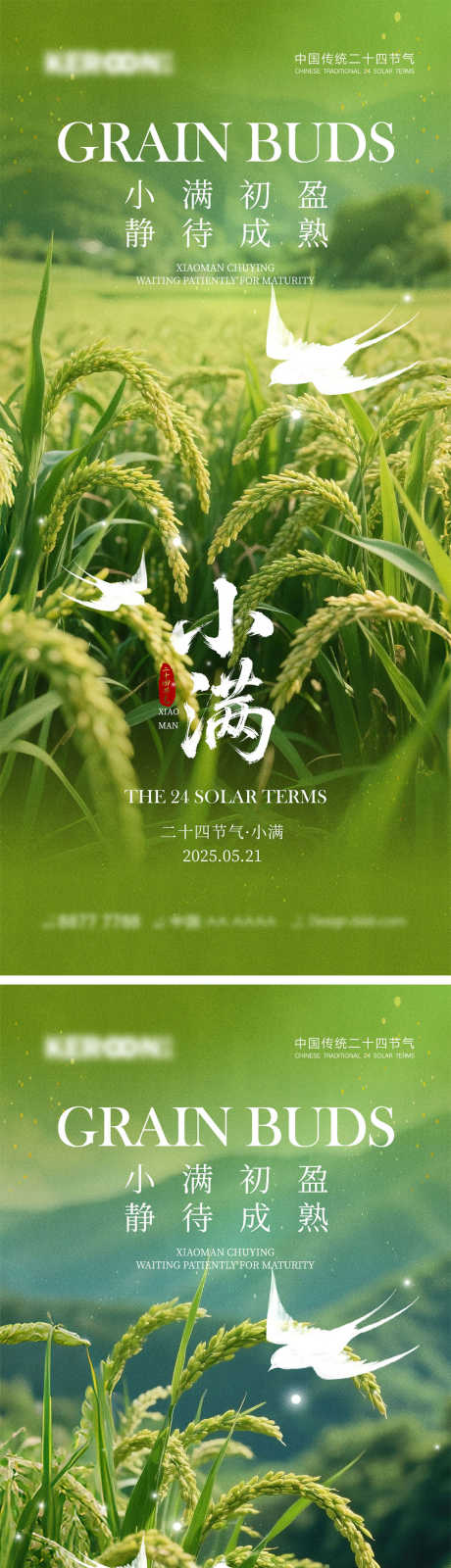 小满节气海报_源文件下载_PSD格式_1000X4348像素-地产,收割,谷物-作品编号:2025050614097983-志设-zs9.com