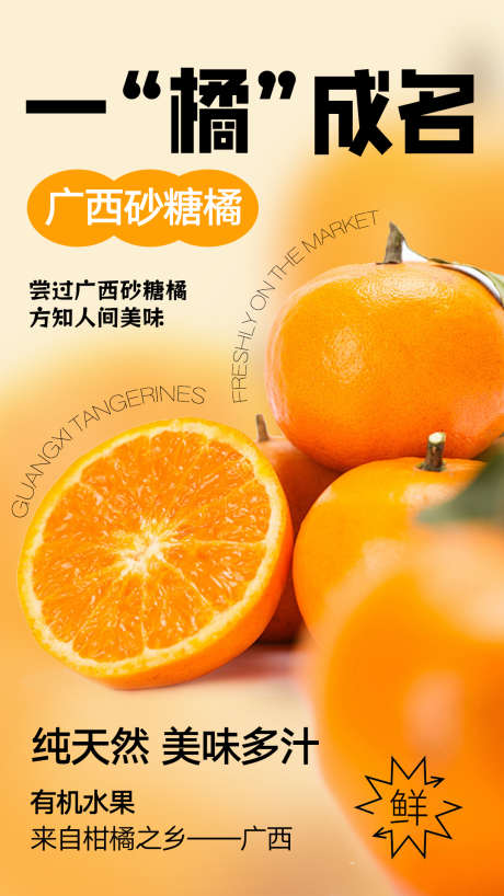 橘子海报设计_源文件下载_PSD格式_1080X1920像素-宣传,海报,橙子-作品编号:2025050617205056-志设-zs9.com
