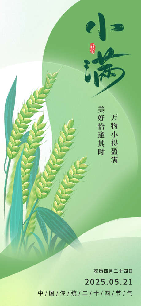 小满节气海报_源文件下载_PSD格式_1242X2688像素-夏季,小清新,麦子-作品编号:2025050611425555-志设-zs9.com