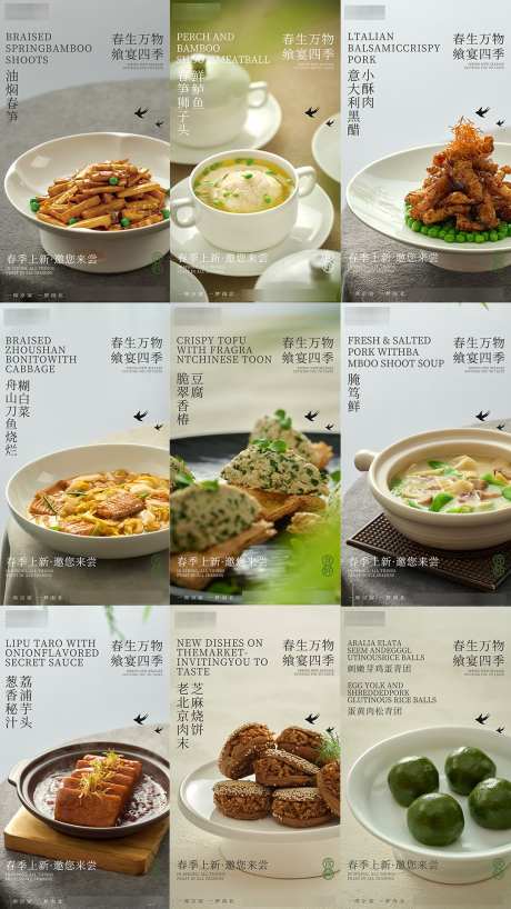 中餐餐饮海报_源文件下载_PSD格式_1080X1920像素-海报,春季,中餐-作品编号:2025050713457245-志设-zs9.com