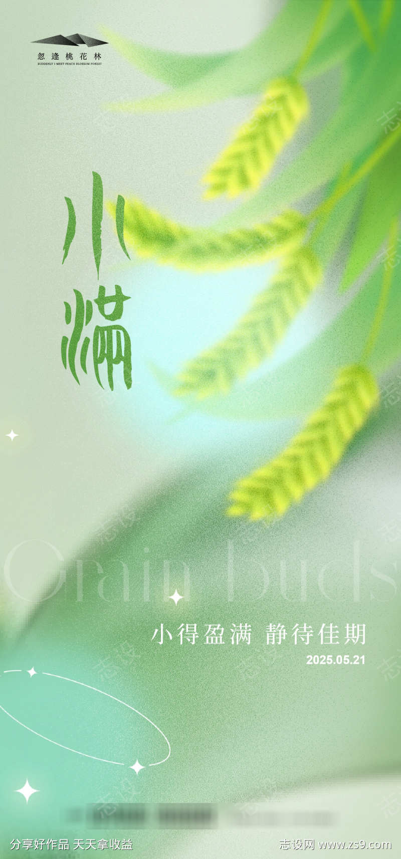 小满节气海报