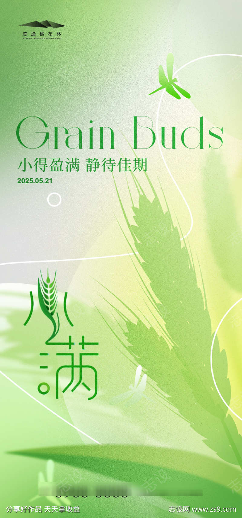 小满节气海报