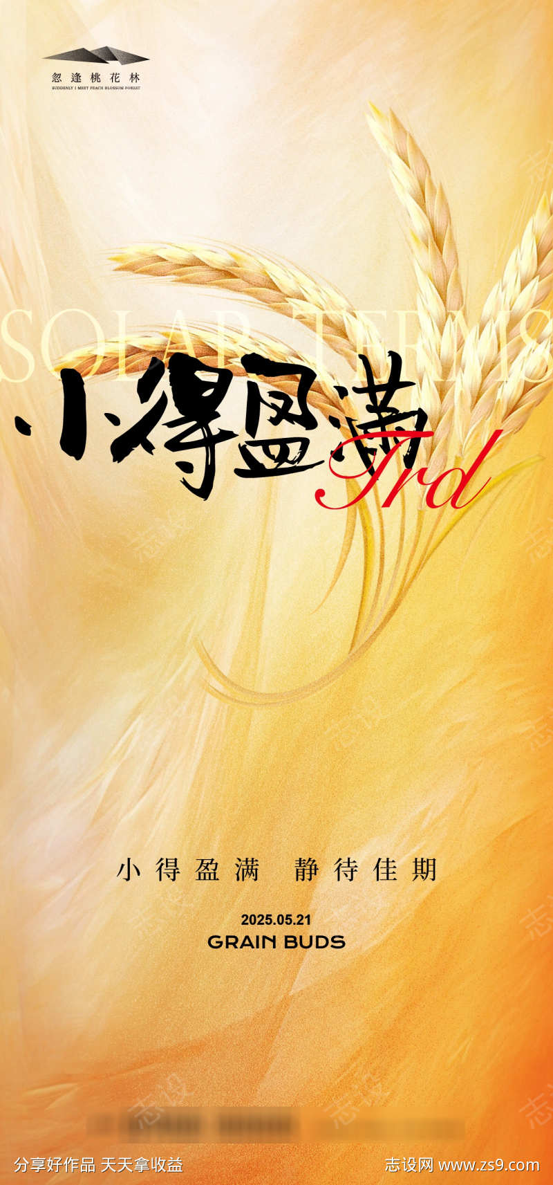 小满节气海报