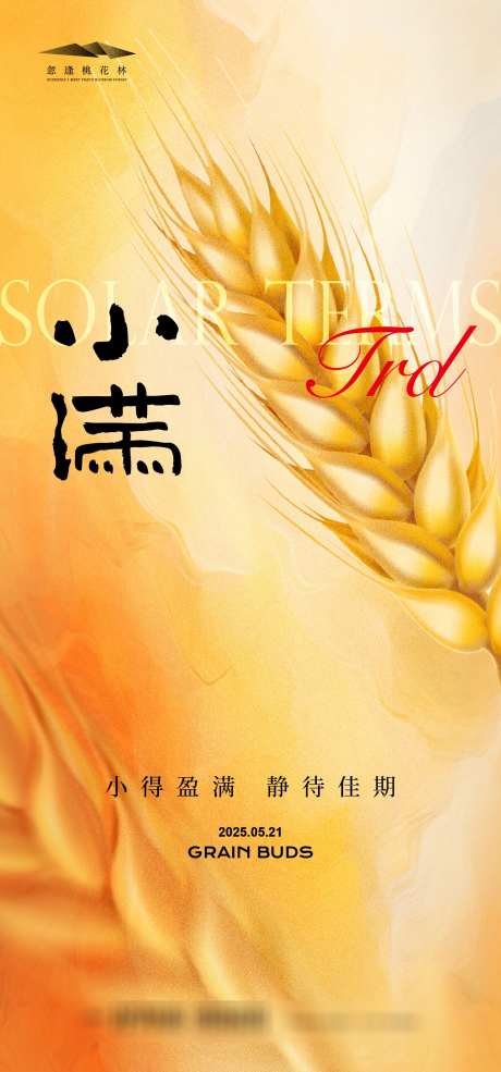 小满节气海报_源文件下载_AI格式_1333X2855像素-耕地,麦子,小满-作品编号:2025050716119827-志设-zs9.com