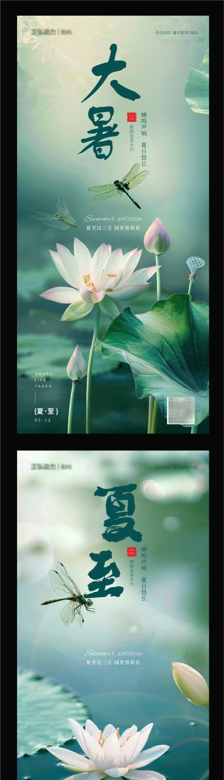 夏至莲花荷花大暑节气海报_源文件下载_AI格式_1260X4954像素-莲花,荷花,大暑-作品编号:2025050709019158-志设-zs9.com
