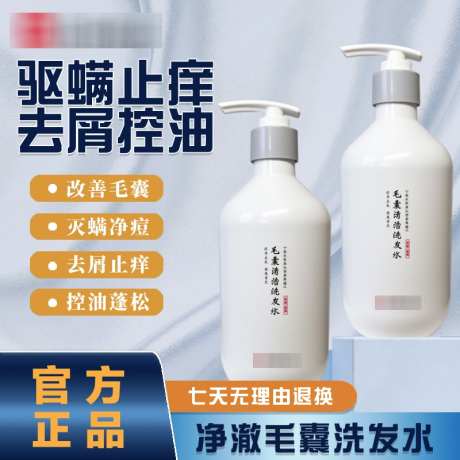 仁和匠心洗发水主图_源文件下载_PSD格式_800X800像素-设计,生活,用品-作品编号:2025050710243342-志设-zs9.com