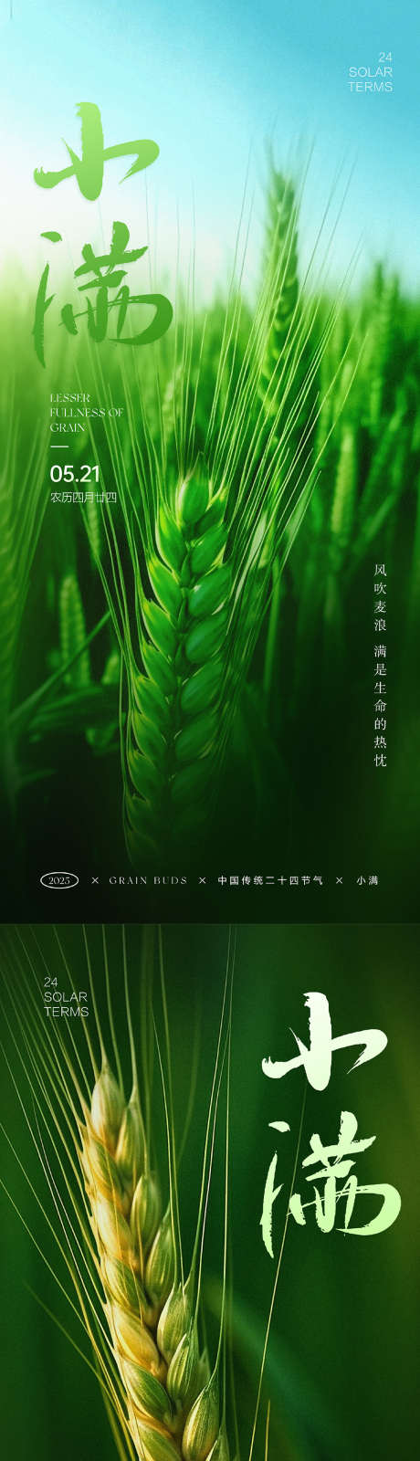 小满节气海报_源文件下载_PSD格式_1063X4677像素-麦浪,麦田,麦子-作品编号:2025050711252263-志设-zs9.com