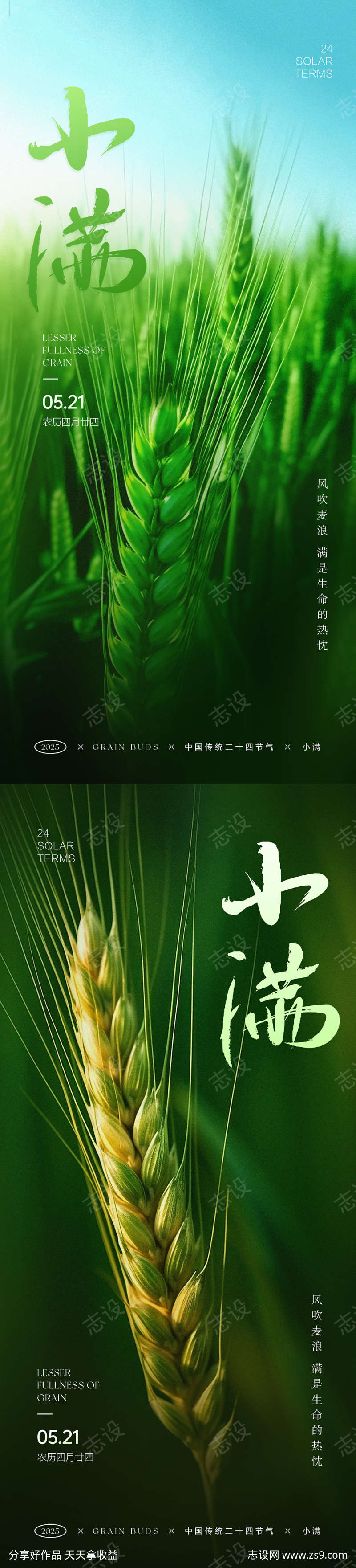 小满节气海报