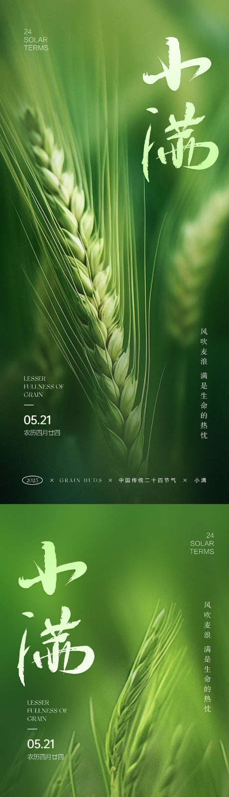 小满节气海报_源文件下载_PSD格式_1063X4677像素-麦田,质感,小麦-作品编号:2025050711358621-志设-zs9.com