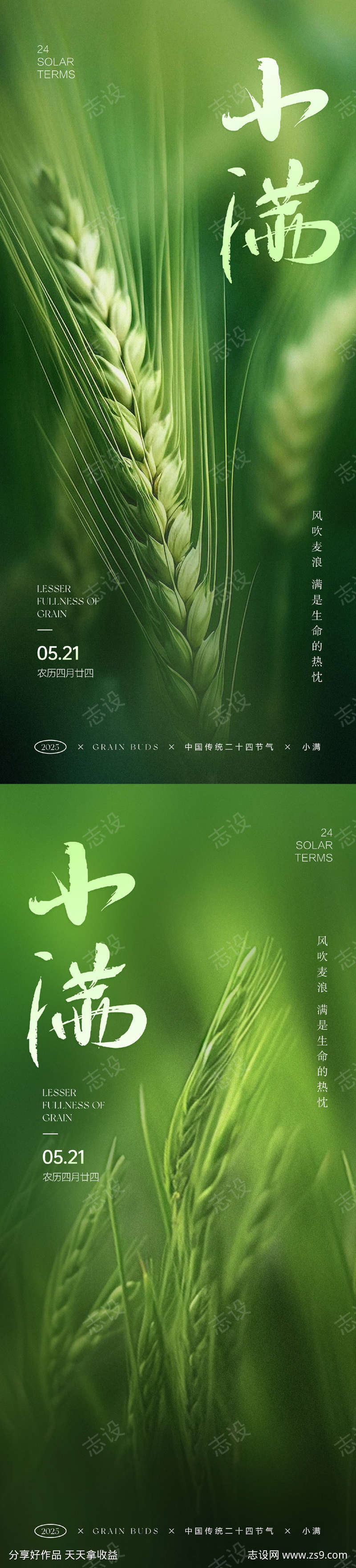 小满节气海报