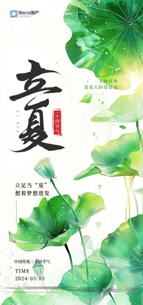 立夏节气海报_源文件下载_PSD格式_1080X2300像素-荷叶,立夏,二十四节气-作品编号:2025050711525986-志设-zs9.com