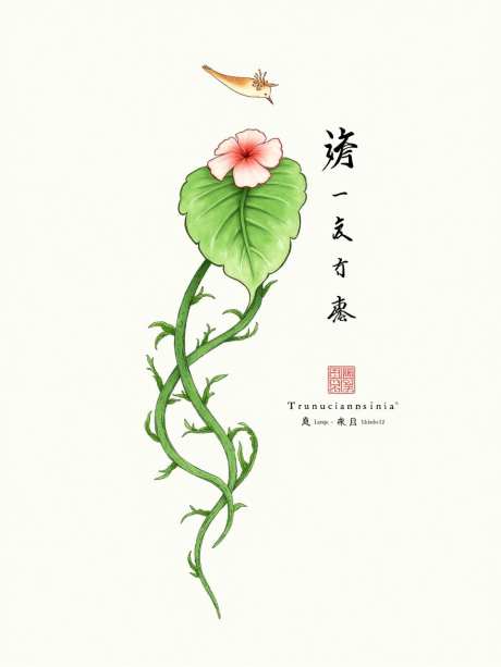 丝瓜藤简单背景_源文件下载_PNG格式_960X1280像素-背景,花鸟,叶子-作品编号:2025050715293081-志设-zs9.com