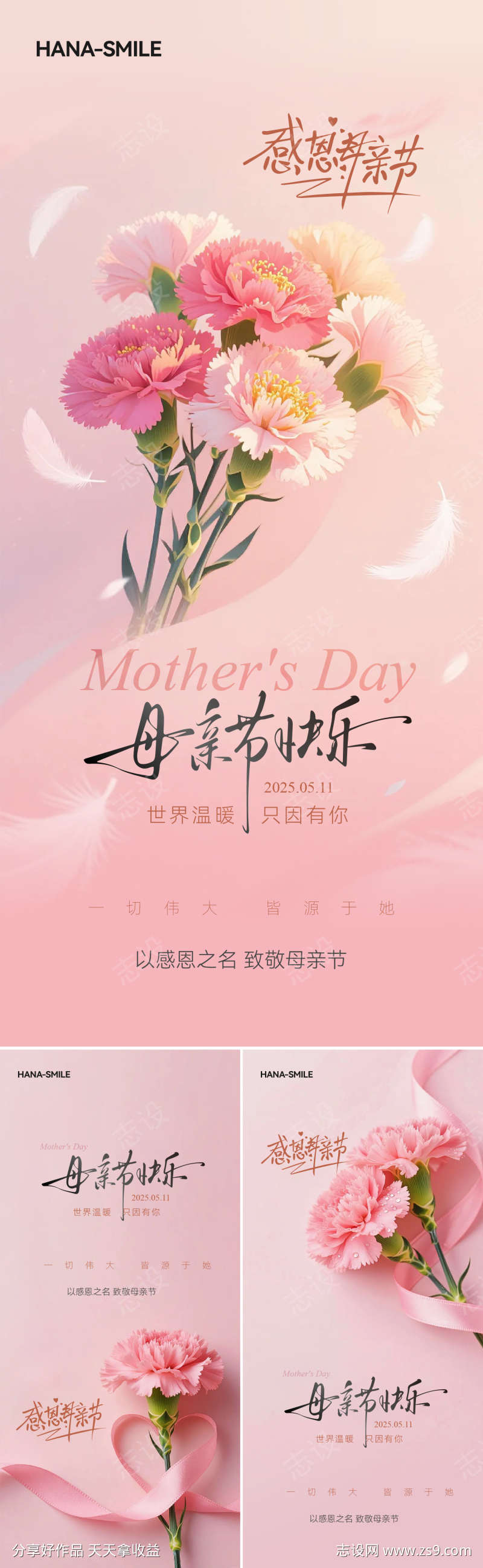 母亲节康乃馨系列海报
