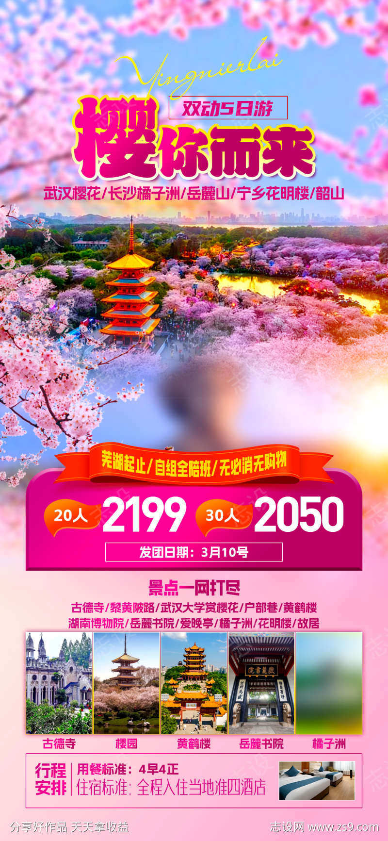 武汉樱花黄鹤楼