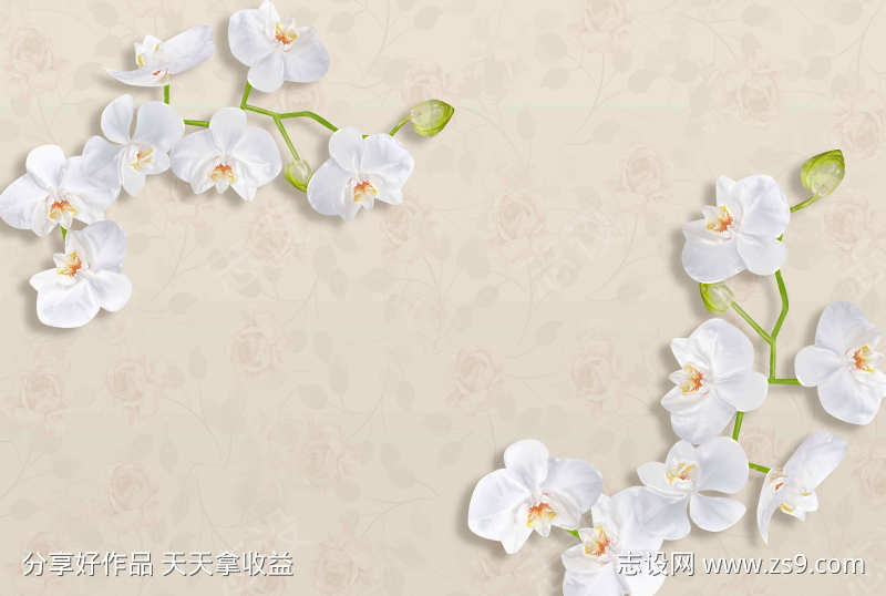 装饰背景画面