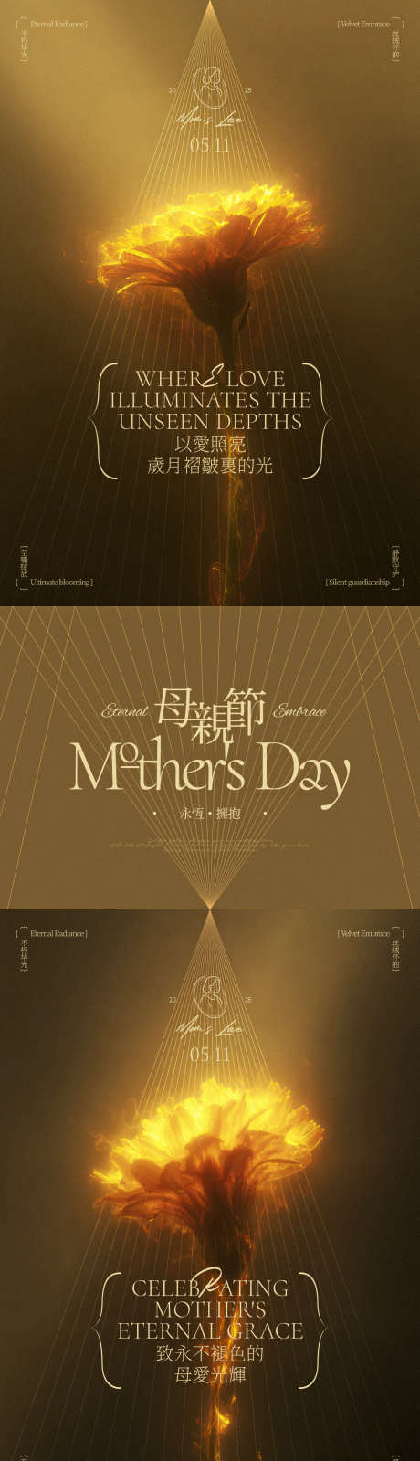 母亲节康乃馨系列海报_源文件下载_PSD格式_1125X2436像素-黑金,绽放,母爱-作品编号:2025050814201584-志设-zs9.com