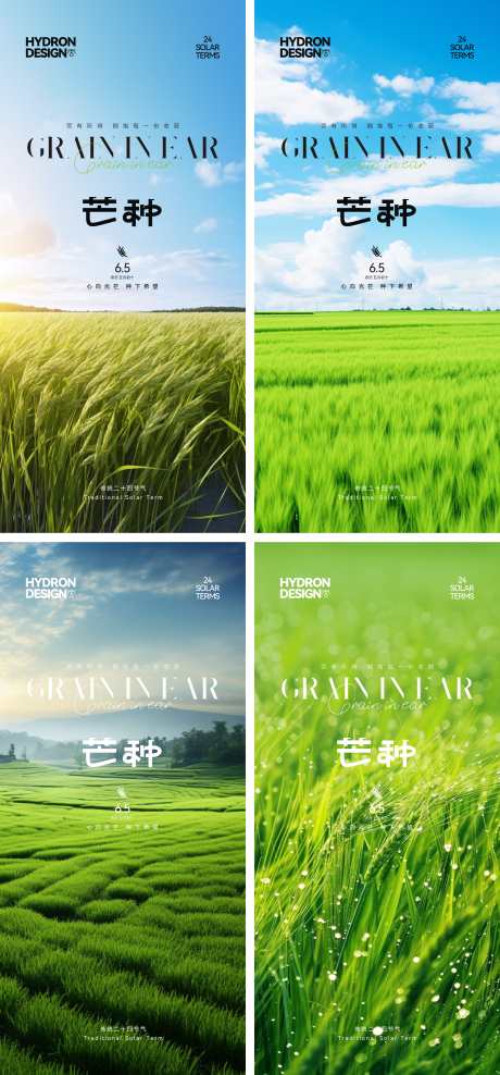 芒种节气海报_源文件下载_CDR格式_3297X7080像素-稻田,风景,麦穗-作品编号:2025050816125834-志设-zs9.com
