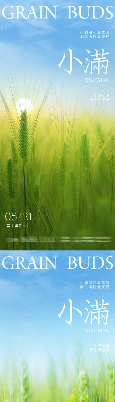 小满节气海报_源文件下载_PSD格式_1080X4680像素-节气,海报,简约-作品编号:2025050816439264-志设-zs9.com