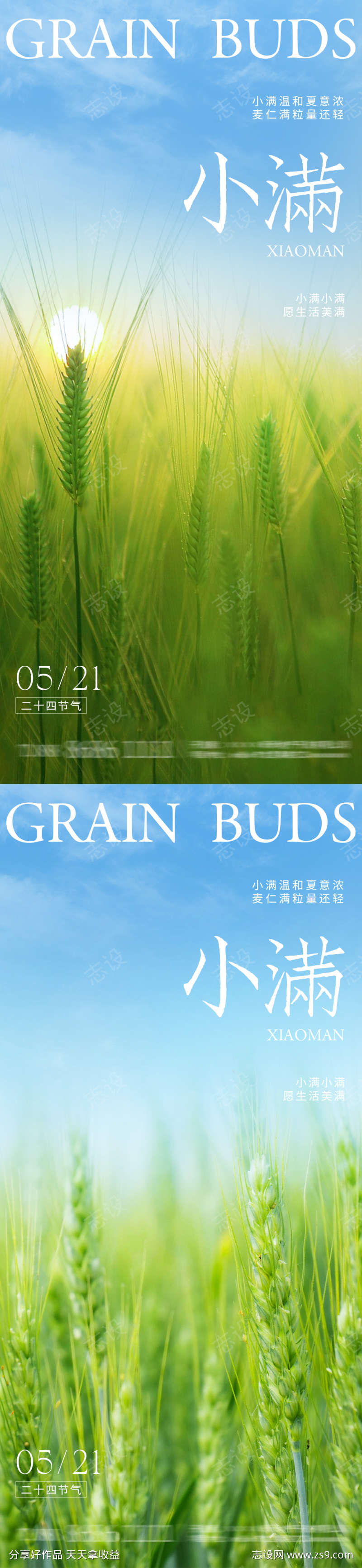 小满节气海报