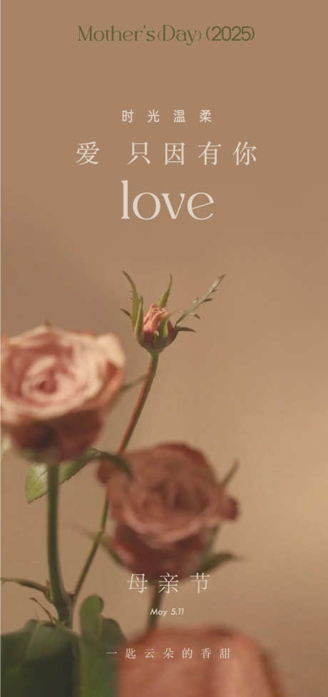 母亲节轻医美康乃馨五一活动展架美容美业美_源文件下载_AI,PSD格式_875X1858像素-甜品店,花店,玫瑰-作品编号:2025050908538510-志设-zs9.com