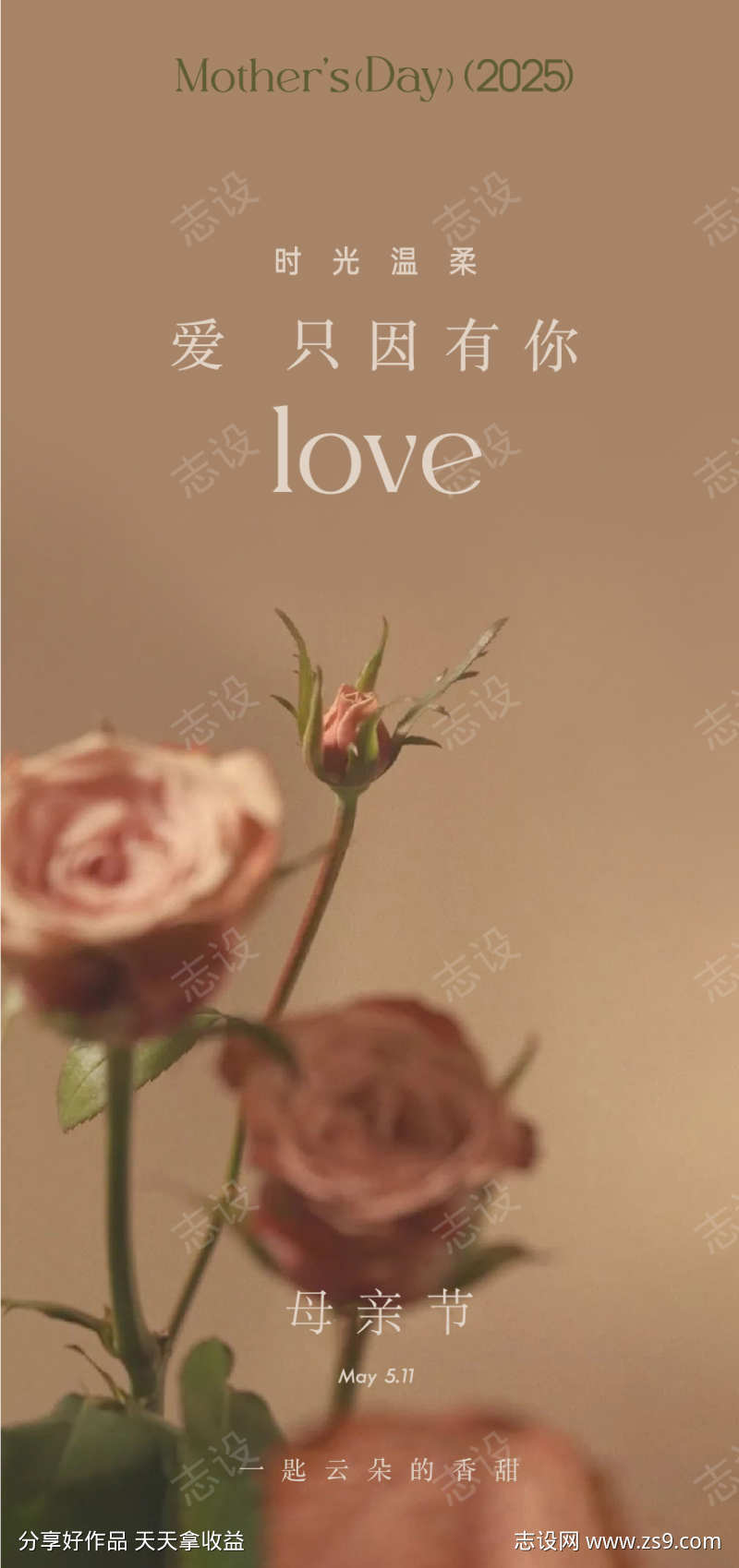 母亲节轻医美康乃馨五一活动展架美容美业美