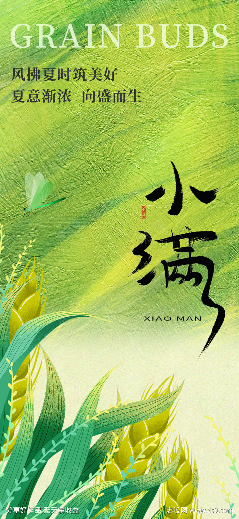 小满节气海报
