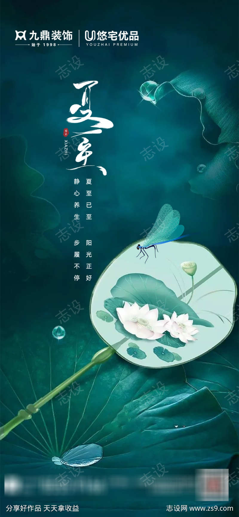 夏至节气海报
