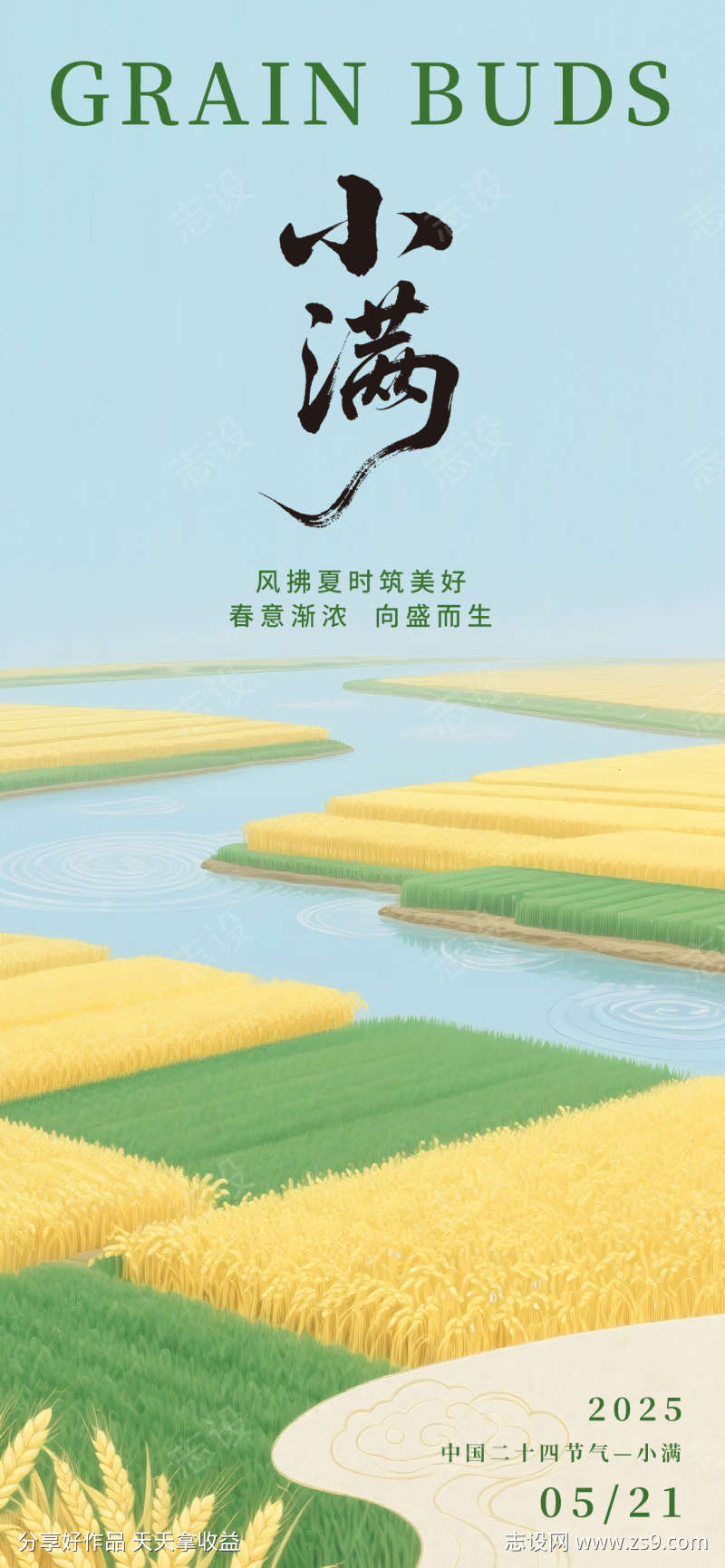 小满节气海报