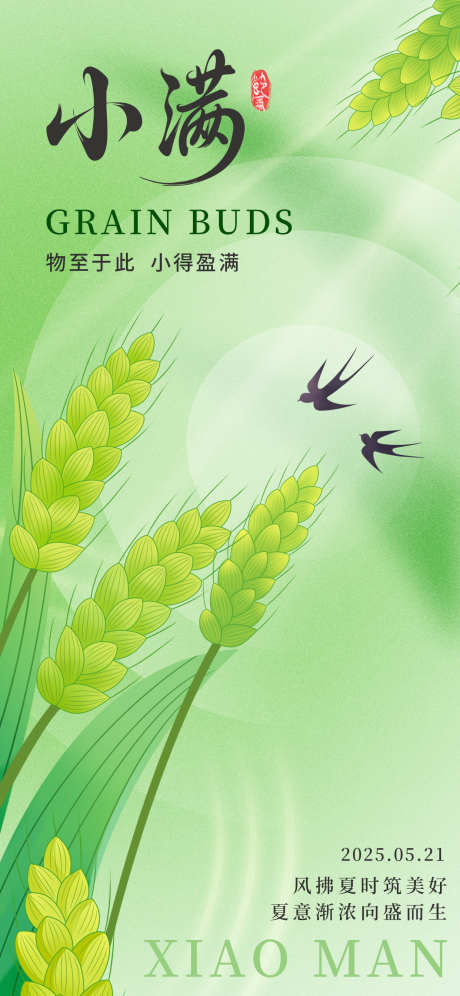 小满节气海报_源文件下载_PSD格式_1242X2688像素-麦穗,节气素材,麦田-作品编号:2025050916024534-志设-zs9.com