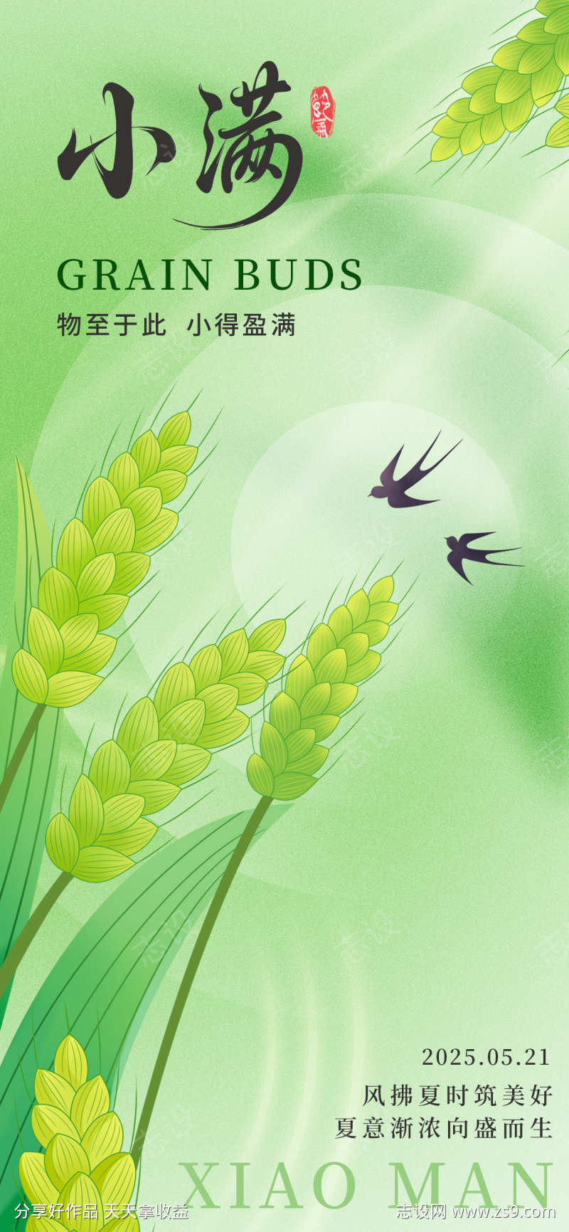 小满节气海报