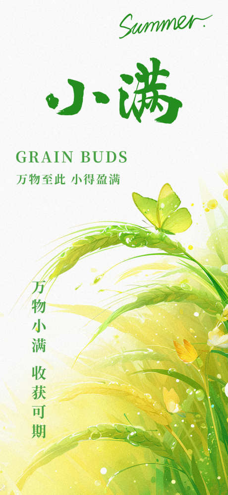 二十四节气小满节气手机宣传海报_源文件下载_PSD格式_1242X2688像素-手机,宣传,节气-作品编号:2025050915564415-志设-zs9.com