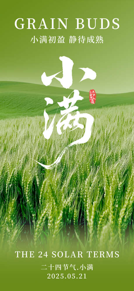 小满节气海报_源文件下载_PSD格式_1242X2688像素-夏季,小清新,麦子-作品编号:2025050916456172-志设-zs9.com