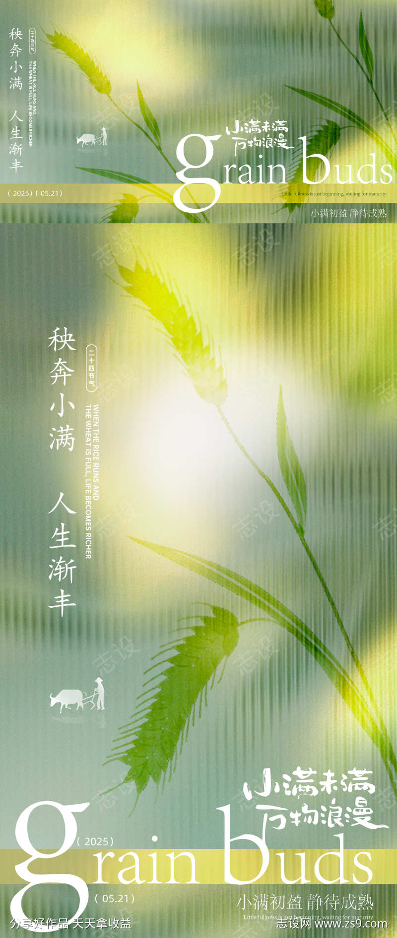 小满节气海报