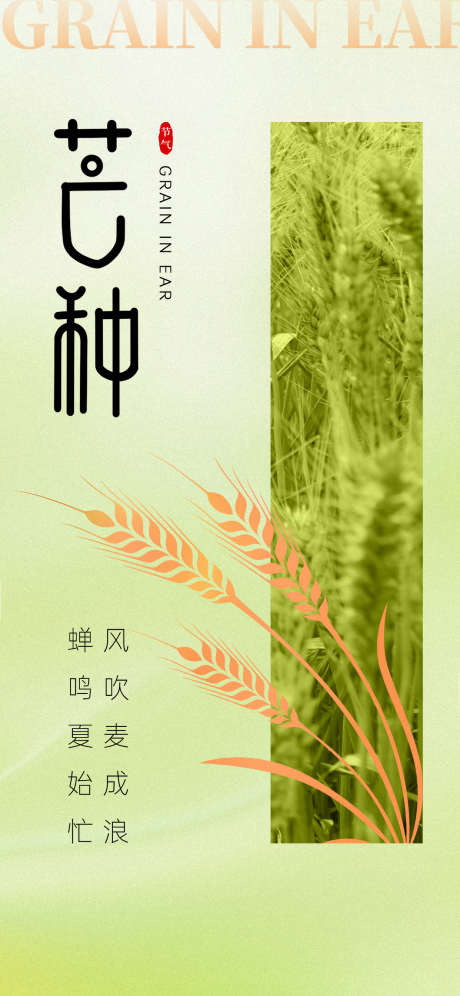 创意简约二十四节气芒种借势海报_源文件下载_PSD格式_1242X2688像素-芒种,二十四节气,简约-作品编号:2025051009352659-志设-zs9.com