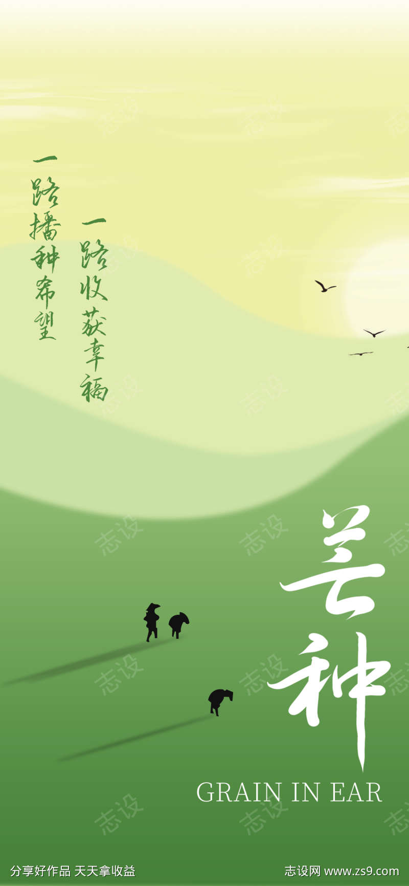 简约二十四节气芒种创意视觉节气祝福海报