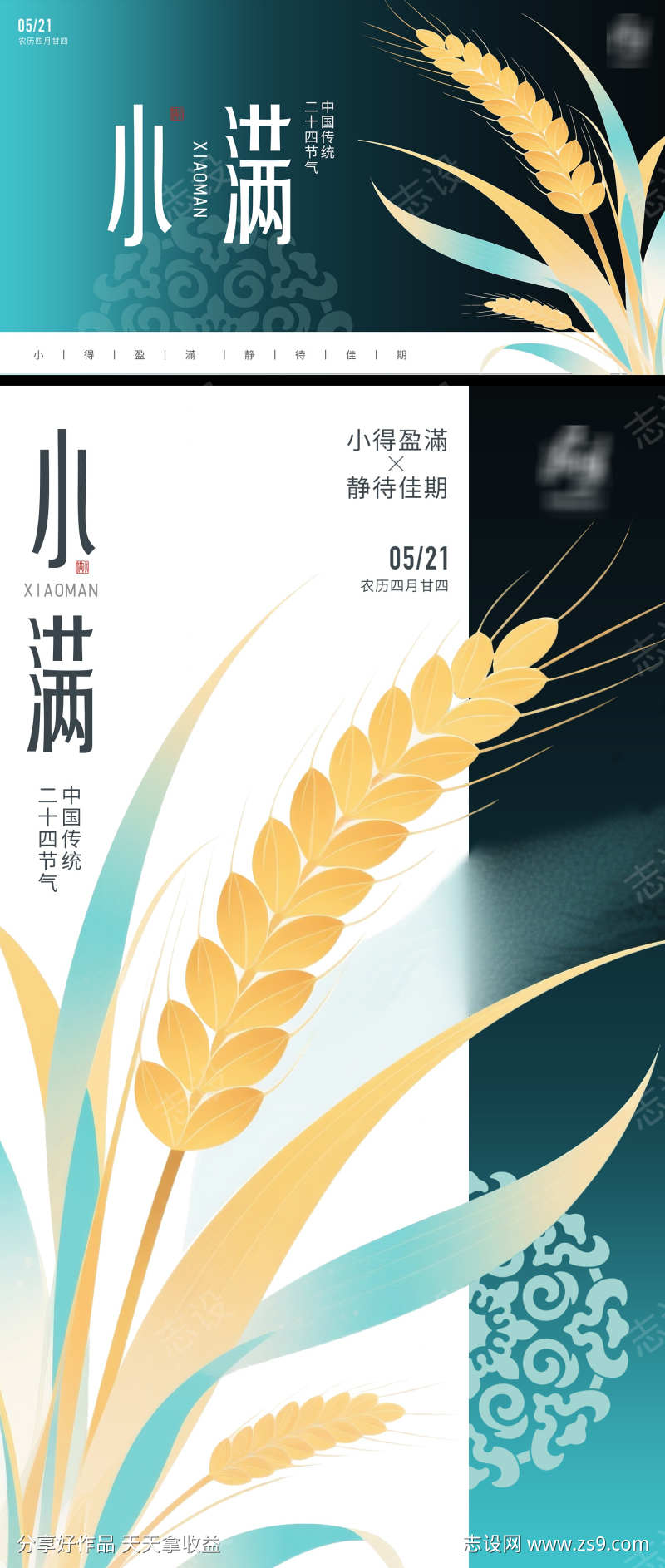 小满节气系列海报