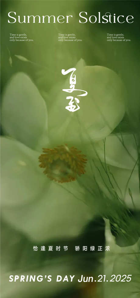 夏至轻医美化妆品美妆精油医疗美容美业节气_源文件下载_AI,PSD格式_1094X2323像素-精油护理,医美,夏至-作品编号:2025051015009839-志设-zs9.com