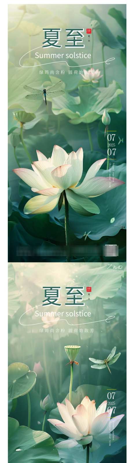 夏至清新莲花海报_源文件下载_AI格式_1211X7141像素-海报,莲花,荷花-作品编号:2025051110399024-志设-zs9.com
