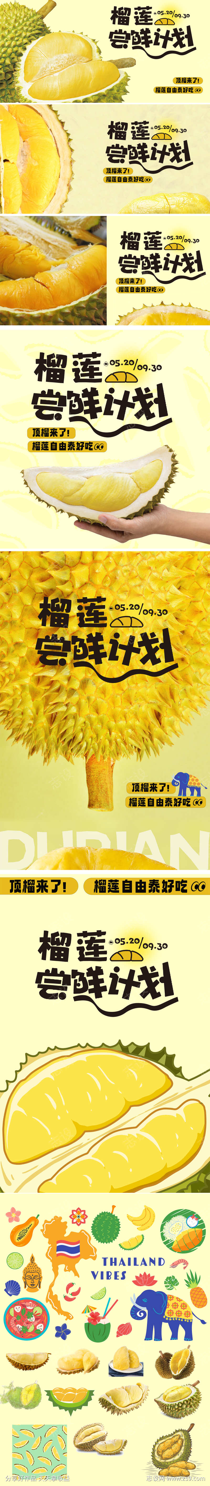 榴莲上新季