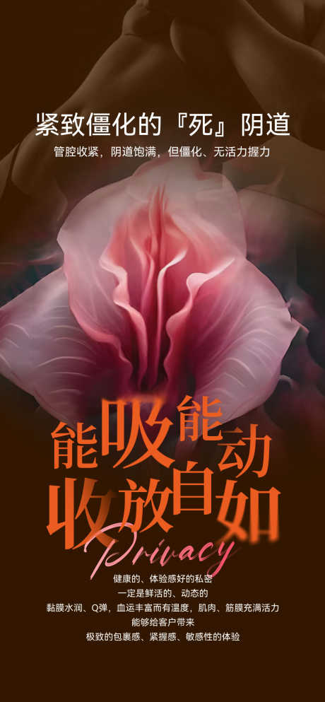 女性私密美化_源文件下载_PSD格式_1077X2324像素-外阴,私护,生殖-作品编号:2025051210316374-志设-zs9.com