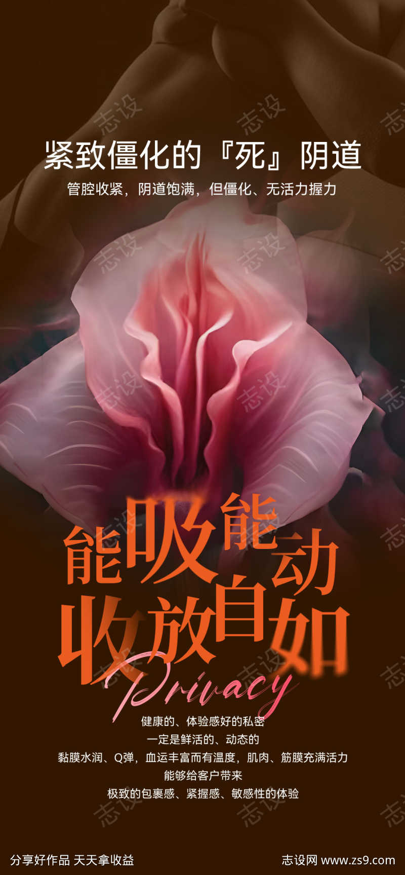 女性私密美化