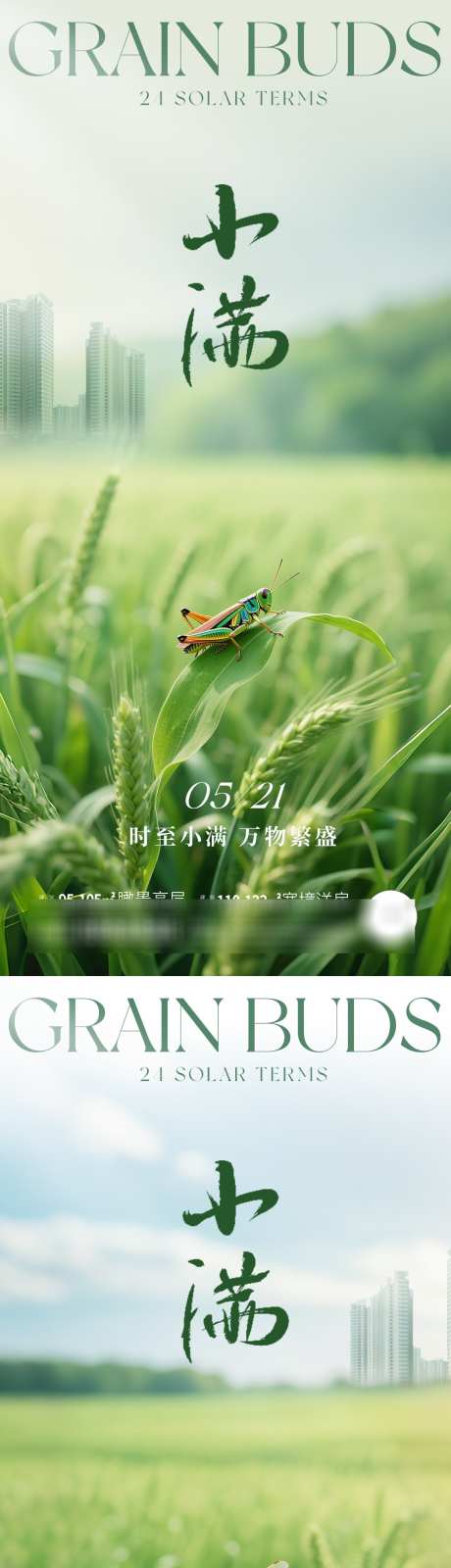 地产小满意境海报_源文件下载_PSD格式_1125X4872像素-蜻蜓,草蜢,意境-作品编号:2025051215112556-志设-zs9.com