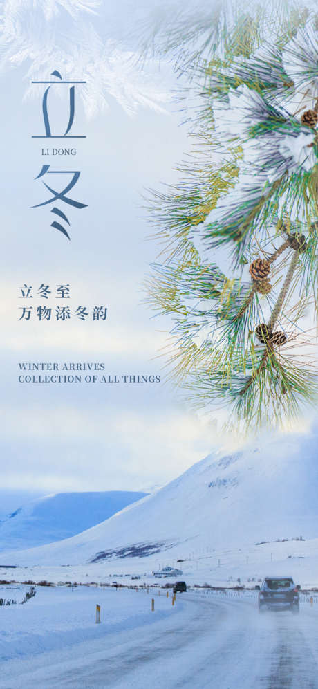 立冬节气海报_源文件下载_PSD格式_750X1624像素-冬季,松树,雪松-作品编号:2025051314149020-志设-zs9.com
