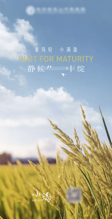 小满节气海报_源文件下载_AI格式_2250X4396像素-节气,文艺范,医疗-作品编号:2025051315089299-志设-zs9.com