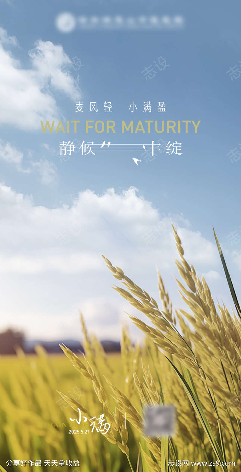 小满节气海报