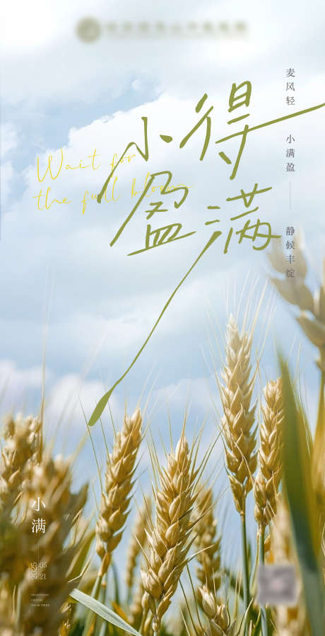 小满节气海报_源文件下载_AI,PSD格式_2251X4396像素-节气,海报,夏天-作品编号:2025051315024168-志设-zs9.com